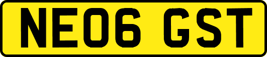 NE06GST