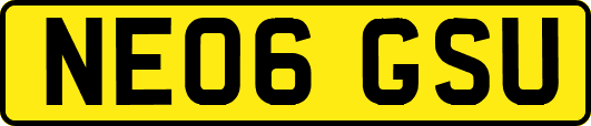 NE06GSU