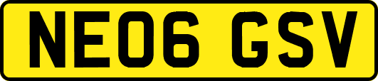 NE06GSV