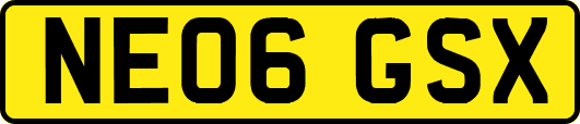 NE06GSX