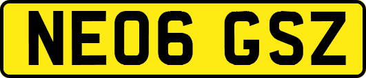 NE06GSZ
