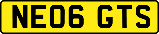 NE06GTS