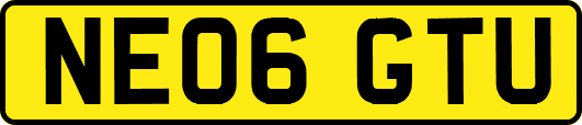 NE06GTU