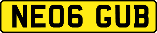 NE06GUB
