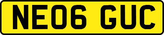 NE06GUC