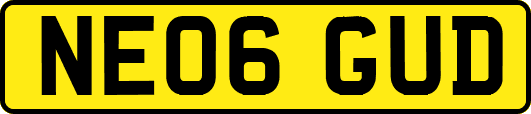 NE06GUD