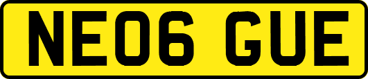 NE06GUE