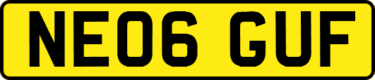 NE06GUF