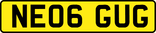 NE06GUG