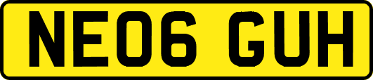 NE06GUH