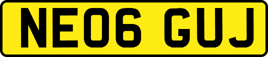 NE06GUJ