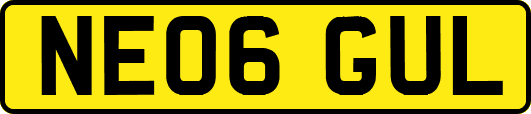 NE06GUL