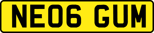 NE06GUM