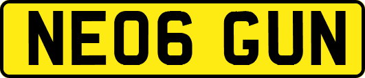 NE06GUN