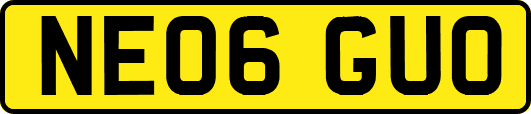 NE06GUO
