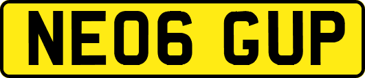 NE06GUP
