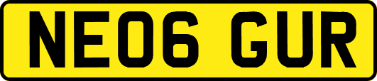 NE06GUR