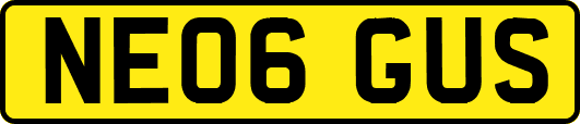 NE06GUS