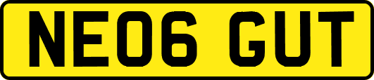 NE06GUT