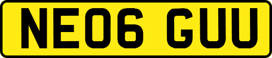 NE06GUU