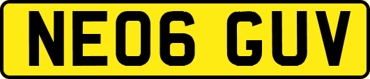 NE06GUV