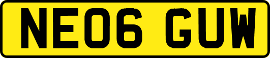 NE06GUW