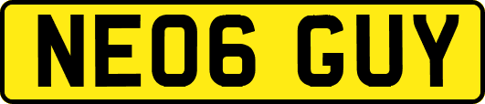 NE06GUY