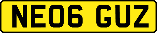 NE06GUZ