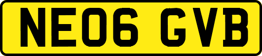NE06GVB