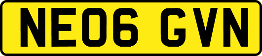 NE06GVN