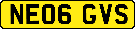 NE06GVS