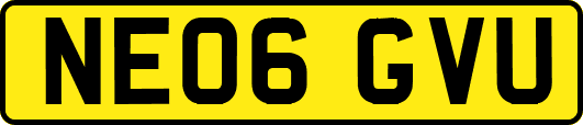 NE06GVU