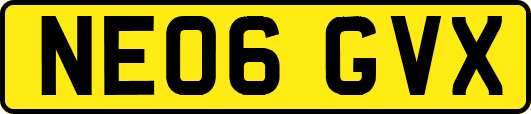 NE06GVX