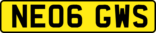NE06GWS