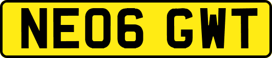 NE06GWT