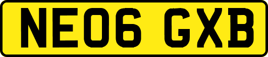 NE06GXB