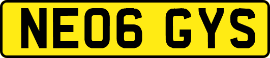 NE06GYS