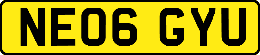 NE06GYU