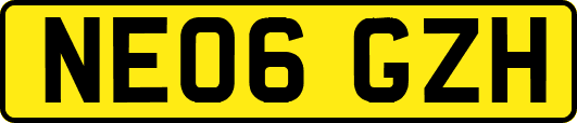 NE06GZH