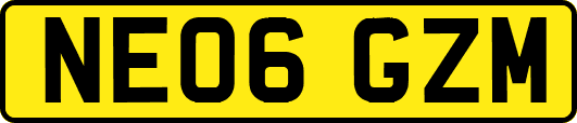 NE06GZM