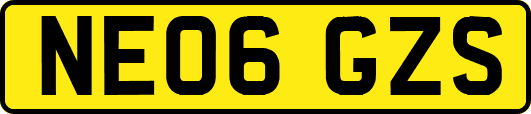 NE06GZS