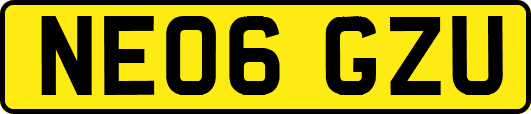 NE06GZU