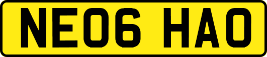 NE06HAO