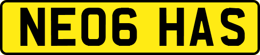 NE06HAS
