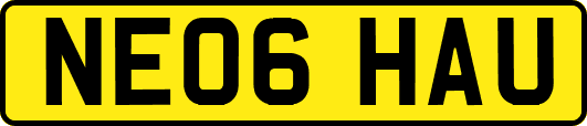 NE06HAU