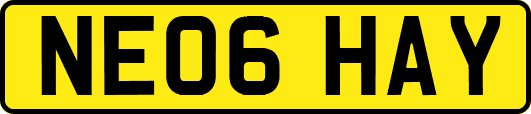 NE06HAY