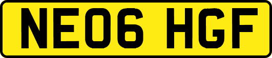 NE06HGF