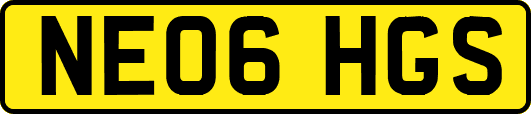NE06HGS