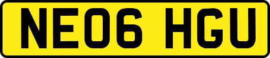 NE06HGU