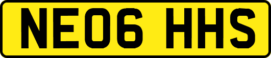 NE06HHS